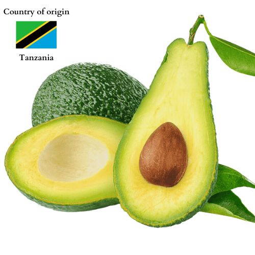 Avocado (Tanzania Imported) – House of Avocado